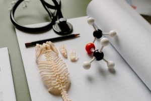 Cek DNA